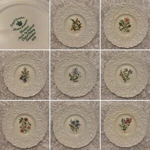 Vintage Royal Cauldon Bristol Ironstone Woodstock Plate Set.